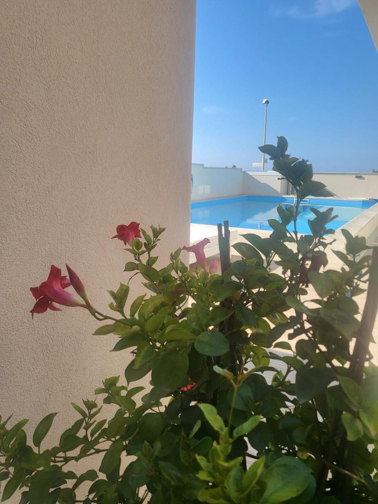 Hotel Casa P. Greco à Portopalo Di Capo Passero Extérieur photo
